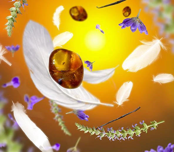 Aroma Dream Main image
